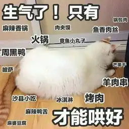 表情包楼板猫表情包