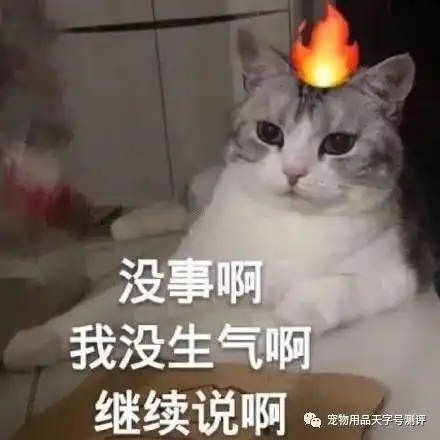 月销过千的纯素猫粮,猫咪能吃吗