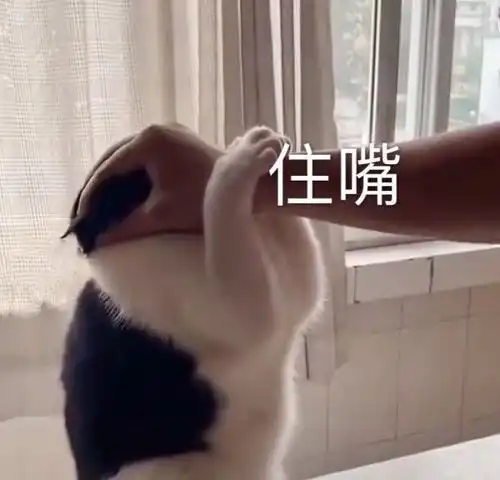 可爱表情包快拿去和你的男女朋友撒娇