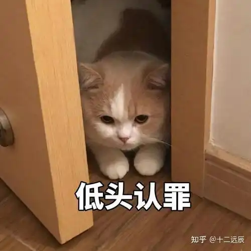 347心理学考研经验分享贴杭州师范大学备考时的那些血泪史