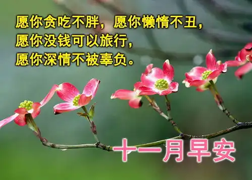 清晨慰问朋友的早上好暖心祝福语录早上好唯美动态表情祝福图片