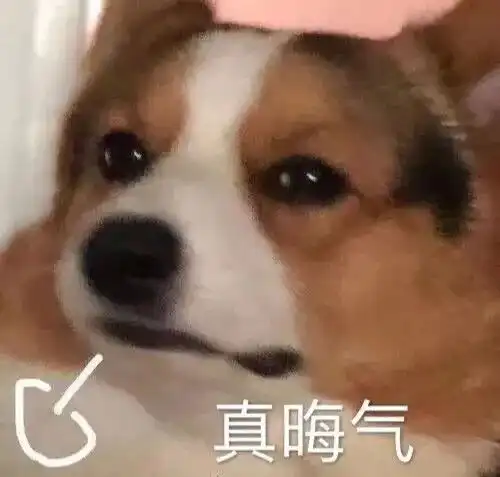 第一次看到这么让人反感的旗袍