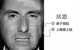杭州心理学家教你从细微表情中读出真伪