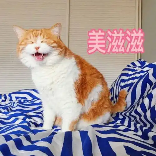 母亲大人