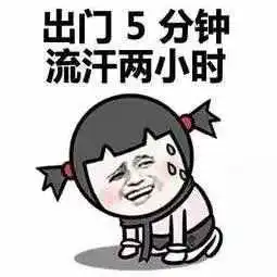 头伏吃什么馅的饺子好头伏适合吃什么馅儿的饺子