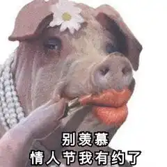 适合情人节发的表情包呐,给你花花,情人节快乐