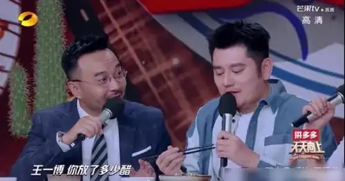 汪涵王一博最大的梦想就是挣钱把钱枫买下来