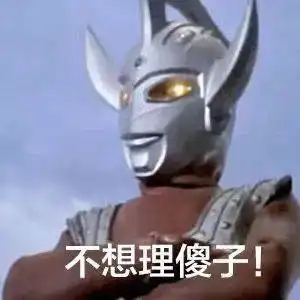 再回首,时光不老,我们不散