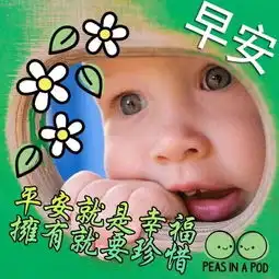 季夏早上好表情包早上好鲜花图片祝福语