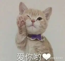 考研真有那么难吗