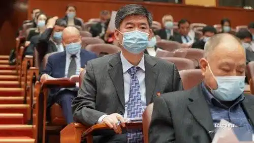 石家庄两会专注思考凝神口罩下的履职微表情