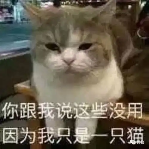 巴沙鱼这么便宜,该不会是臭水沟里养的吧