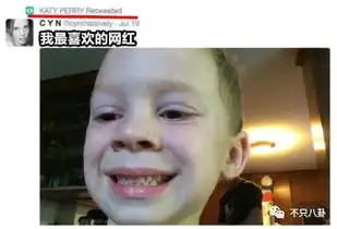 假笑男孩长大了还开微博啦表情包家族的小朋友都有啥变化