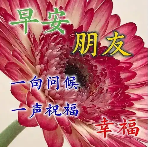 中老年表情包,小年再忙也要赶来打招呼,让我们向年轻快乐出发