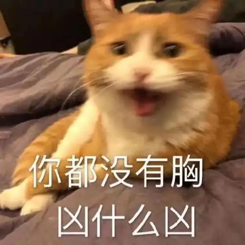 超搞笑表情包不行了,牙都要笑掉了