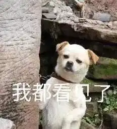 某清纯女神破坏三口之家的心机故事