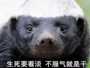 空闲时间可以卖钱么能这项目能赚10倍收益