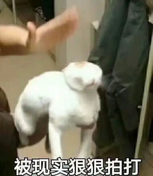 唐觉我是天乾哔哩哔哩