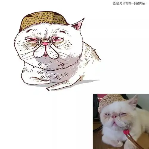 你怎么每天不洗脸