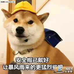 七夕单身狗柴犬图片七夕单身狗表情包柴犬下载乐游网游戏下载