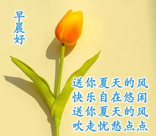 早上好唯美图片带鲜花,清晨温馨祝福句子加表情
