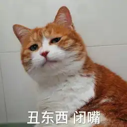 纯文字逗逼魔性搞笑趣味表情斗图恶搞堆糖,美好生活研究所
