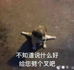 刘诗诗劈叉式走路成功带歪欧阳娜娜,北舞劈叉系可以成立了