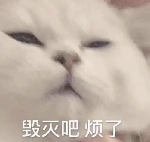2021车市的冰与火一地鸡毛的用户运营
