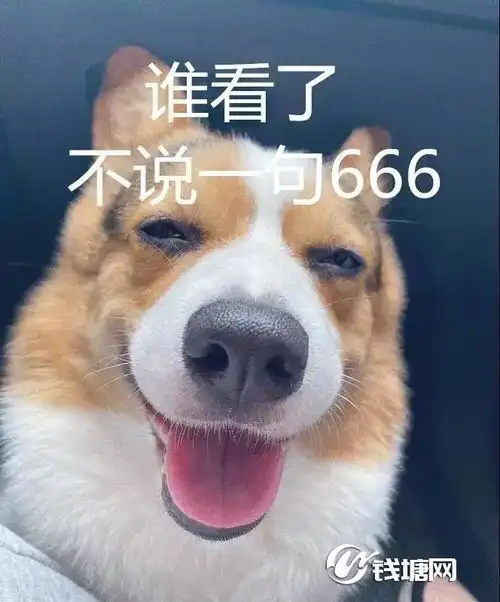 我把骗子骗了大江东一美女网友潜伏骗子窝套路骗子0.09元后被