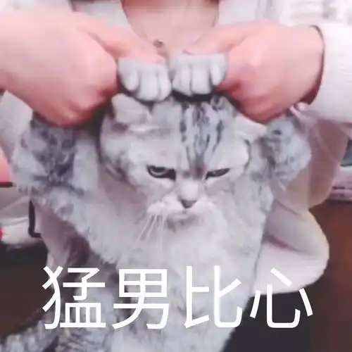 不安11