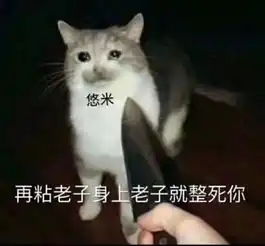 theshy使用悠米开创新玩法夏季赛悠米将登陆职业赛场