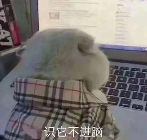 日记公开听说假期和打工更配哦