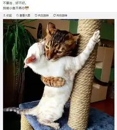 宠物gif图狗哥,节奏打得挺好的,来唱一段小曲吧