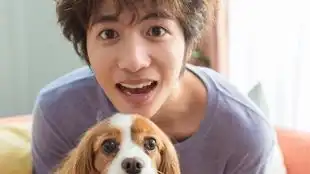 小奶狗与小狼狗相互撕咬