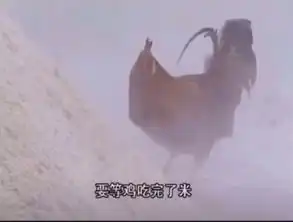 抖音要等鸡吃完了米狗舔完了面火烧断了锁图片大全西游记鸡吃米狗吃面的图片分享
