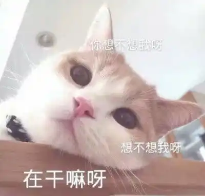 你暗恋的人也喜欢你的10个特征,一起开始甜甜的恋爱叭