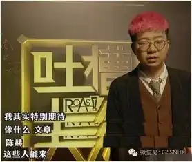 太污啦周杰王琳合体互黑原来尺度辣么大,王思聪新节目被老司机开下架