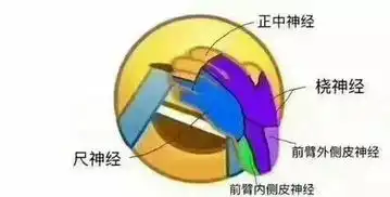 长沙高校15大专业表情包,看完都是泪