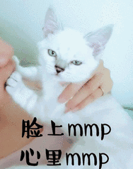 专栏文章