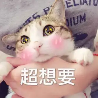 特别想买医药主题基金,应该怎么投