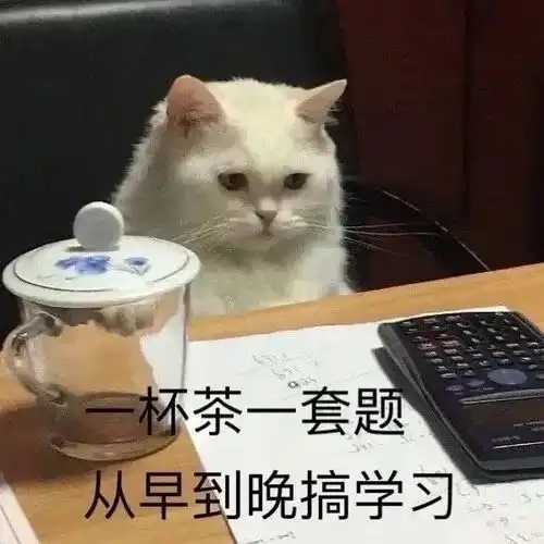我爱上班,上班使我快乐第286期喵表情
