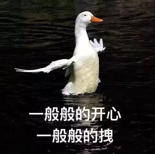 五大系列头像男女头像情侣头像闺蜜基友头像文字头像搞怪可爱头像