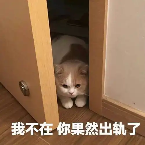 笑话十条小区门口一理发店搞活动,九块九理发,全套洗剪吹