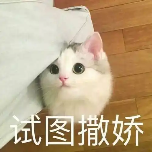 诚信考试丨考试还想像王者那样抱团合作