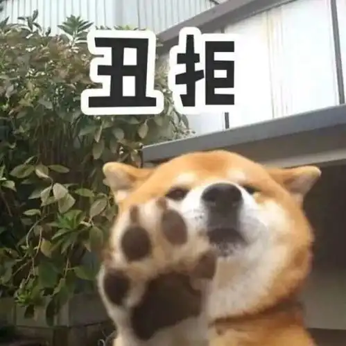 壮观录制现场姑娘大碗喝酒