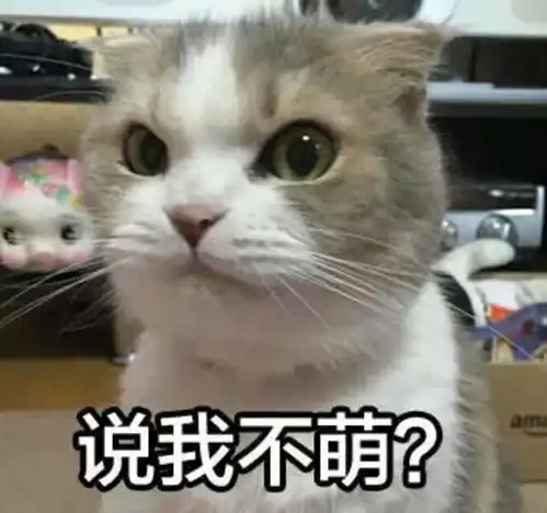 留学机构前10名已出,到底该怎么看待中介榜单
