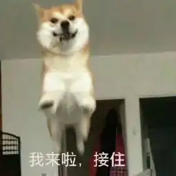 暑期超强干货小哥哥小姐姐我有一份日不落的惊喜送给你