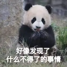 一路睡上位的假纯真贱的大花