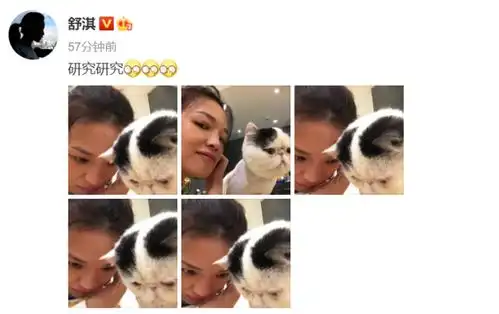 舒淇素面朝天cos猫咪表情,皮肤蜡黄眼眶黑青毫无女神包袱