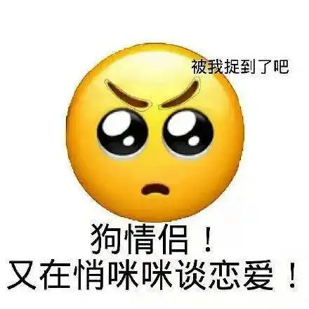 磕cp专用表情包合集